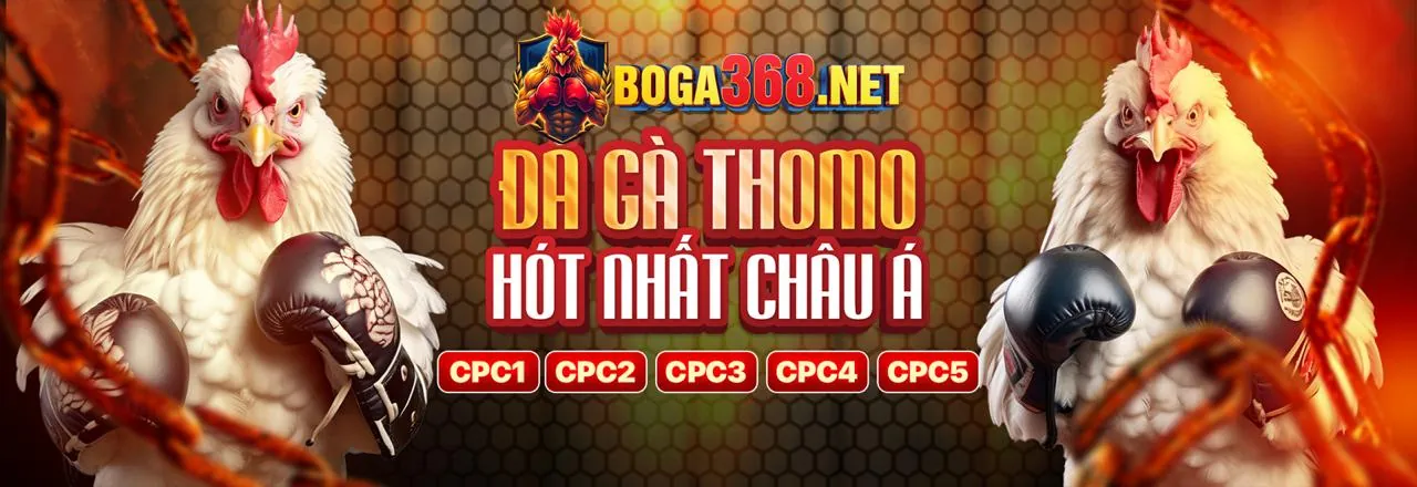 Đá Gà Trực Tuyến soxo66